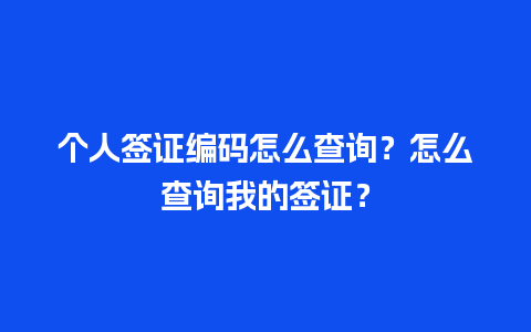 个人签证编码怎么查询？怎么查询我的签证？