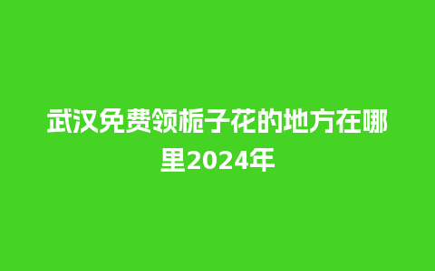 武汉免费领栀子花的地方在哪里2024年