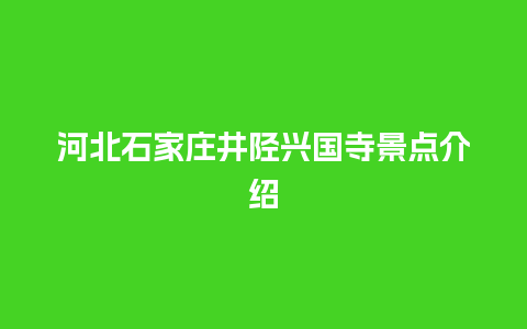 河北石家庄井陉兴国寺景点介绍