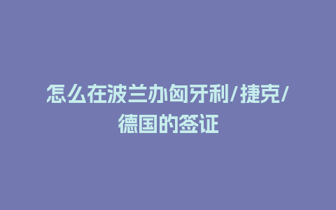 怎么在波兰办匈牙利/捷克/德国的签证