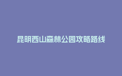 昆明西山森林公园攻略路线