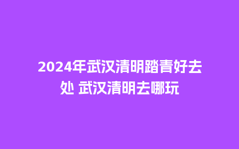 2024年武汉清明踏青好去处 武汉清明去哪玩