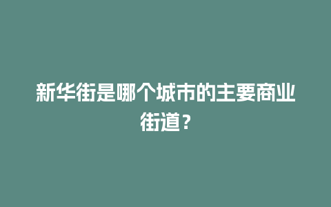 新华街是哪个城市的主要商业街道？