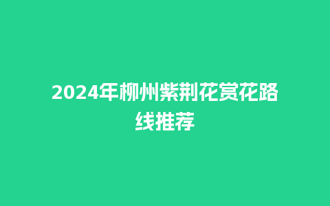 2024年柳州紫荆花赏花路线推荐