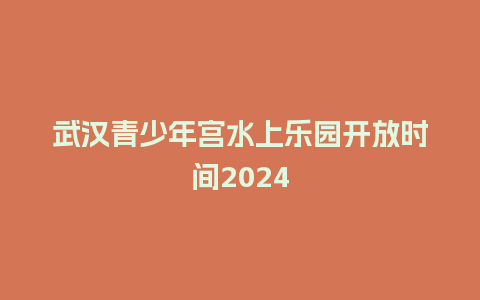 武汉青少年宫水上乐园开放时间2024