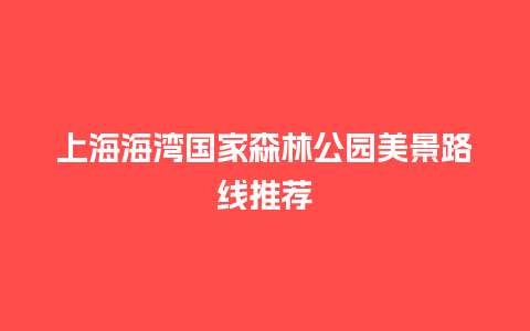 上海海湾国家森林公园美景路线推荐