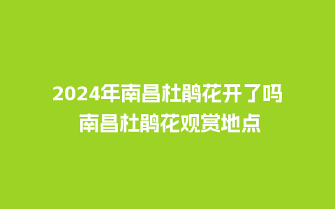 2024年南昌杜鹃花开了吗 南昌杜鹃花观赏地点