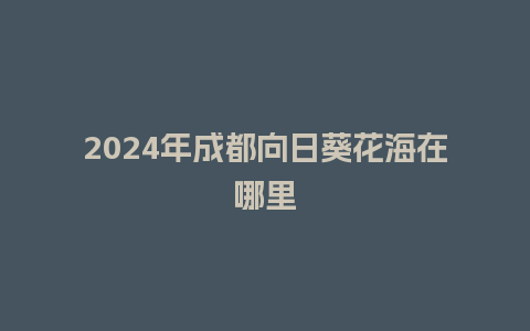 2024年成都向日葵花海在哪里