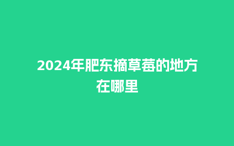 2024年肥东摘草莓的地方在哪里