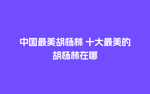 中国最美胡杨林 十大最美的胡杨林在哪