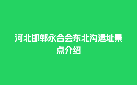 河北邯郸永合会东北沟遗址景点介绍