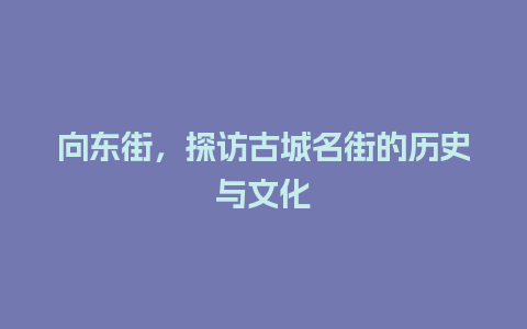 向东街，探访古城名街的历史与文化