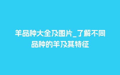 羊品种大全及图片_了解不同品种的羊及其特征