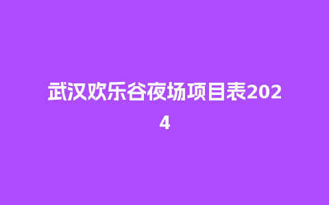 武汉欢乐谷夜场项目表2024