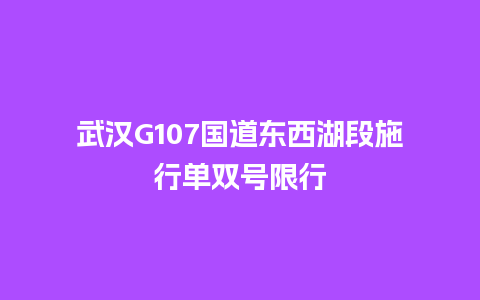 武汉G107国道东西湖段施行单双号限行