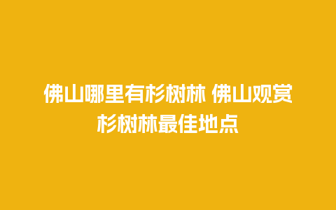 佛山哪里有杉树林 佛山观赏杉树林最佳地点