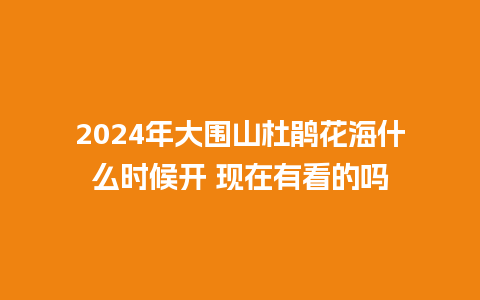 2024年大围山杜鹃花海什么时候开 现在有看的吗