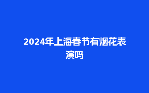 2024年上海春节有烟花表演吗