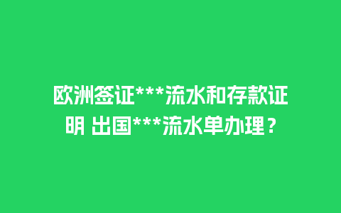 欧洲签证***流水和存款证明 出国***流水单办理？