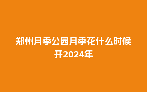 郑州月季公园月季花什么时候开2024年