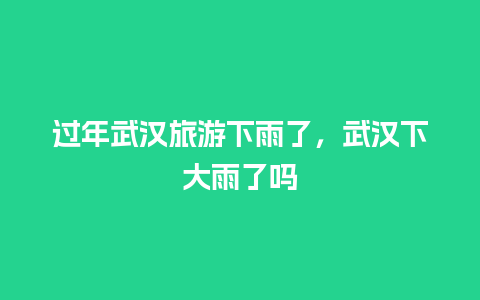 过年武汉旅游下雨了，武汉下大雨了吗