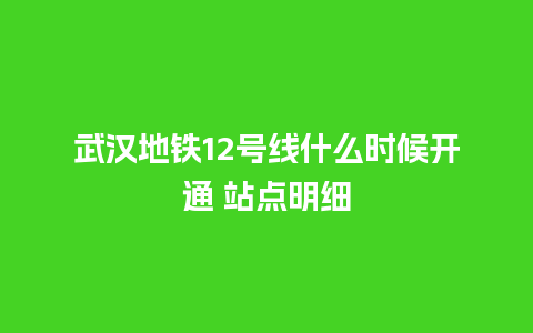 武汉地铁12号线什么时候开通 站点明细