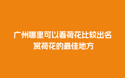 广州哪里可以看荷花比较出名 赏荷花的最佳地方