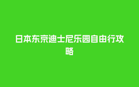 日本东京迪士尼乐园自由行攻略