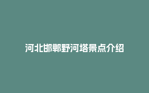 河北邯郸野河塔景点介绍