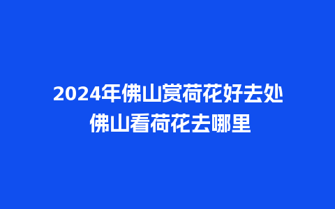 2024年佛山赏荷花好去处 佛山看荷花去哪里