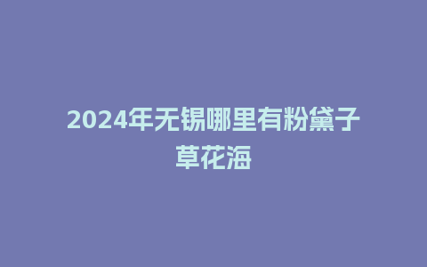 2024年无锡哪里有粉黛子草花海