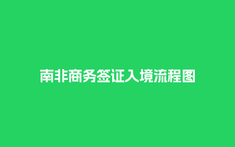 南非商务签证入境流程图