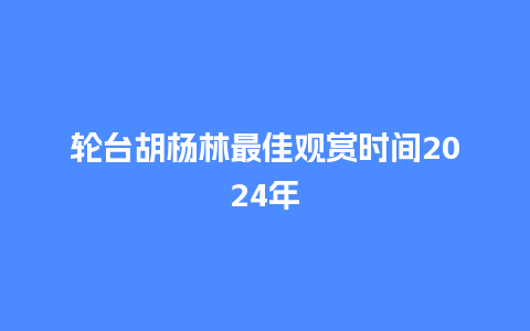 轮台胡杨林最佳观赏时间2024年