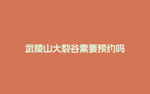 武陵山大裂谷需要预约吗