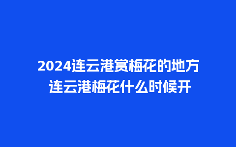 2024连云港赏梅花的地方 连云港梅花什么时候开