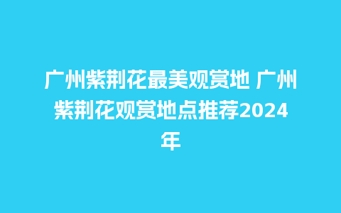 广州紫荆花最美观赏地 广州紫荆花观赏地点推荐2024年