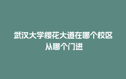 武汉大学樱花大道在哪个校区 从哪个门进