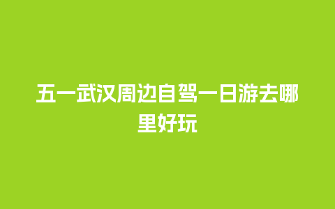 五一武汉周边自驾一日游去哪里好玩