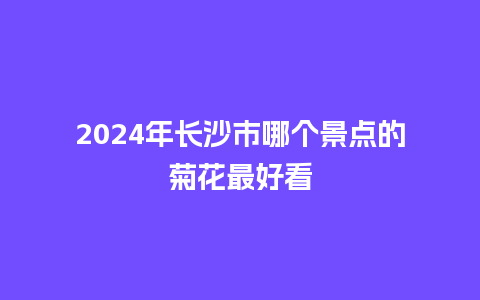 2024年长沙市哪个景点的菊花最好看