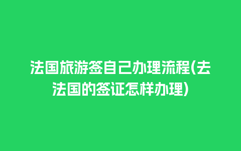 法国旅游签自己办理流程(去法国的签证怎样办理)