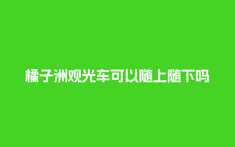 橘子洲观光车可以随上随下吗