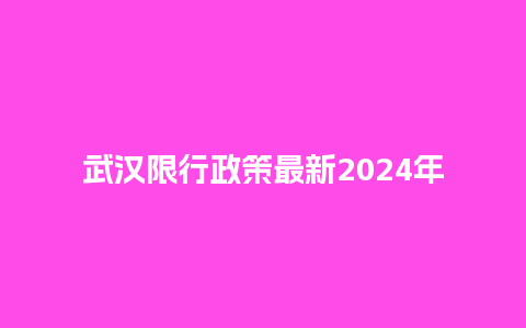 武汉限行政策最新2024年