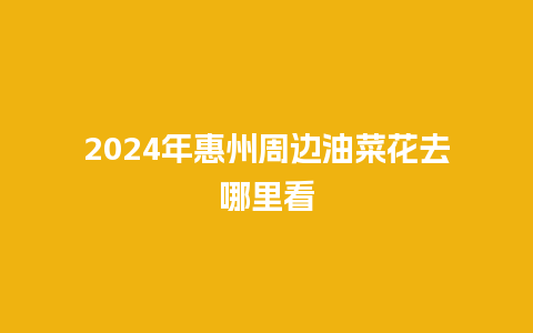 2024年惠州周边油菜花去哪里看