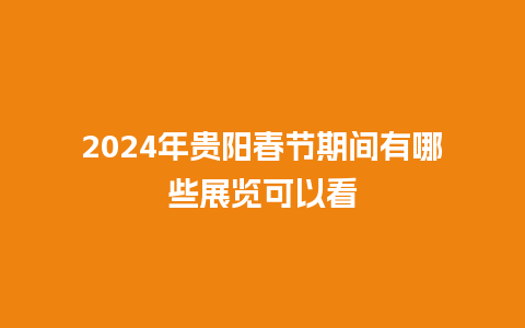 2024年贵阳春节期间有哪些展览可以看