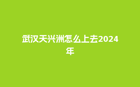 武汉天兴洲怎么上去2024年