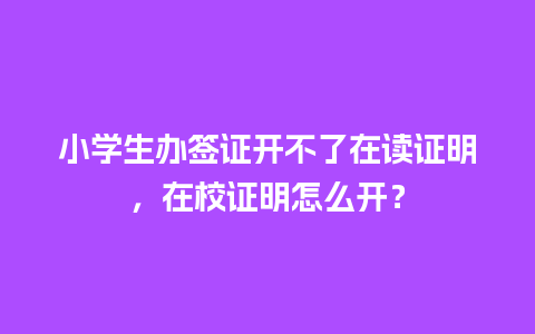 小学生办签证开不了在读证明，在校证明怎么开？