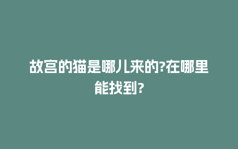 故宫的猫是哪儿来的?在哪里能找到?