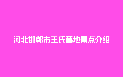 河北邯郸市王氏墓地景点介绍