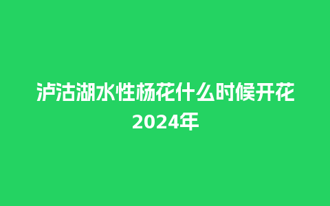 泸沽湖水性杨花什么时候开花2024年