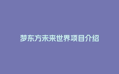 梦东方未来世界项目介绍